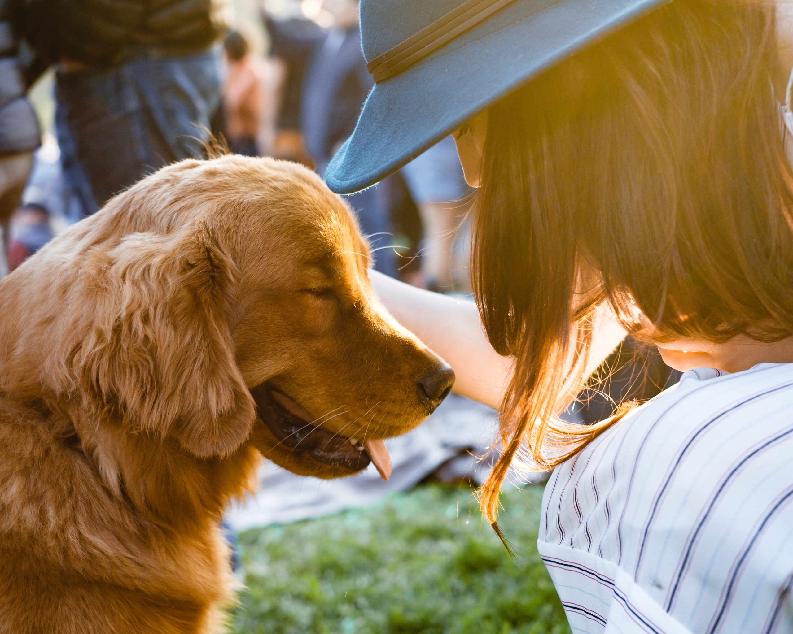 Pet-Friendly Places in Saskatoon to Hang Out