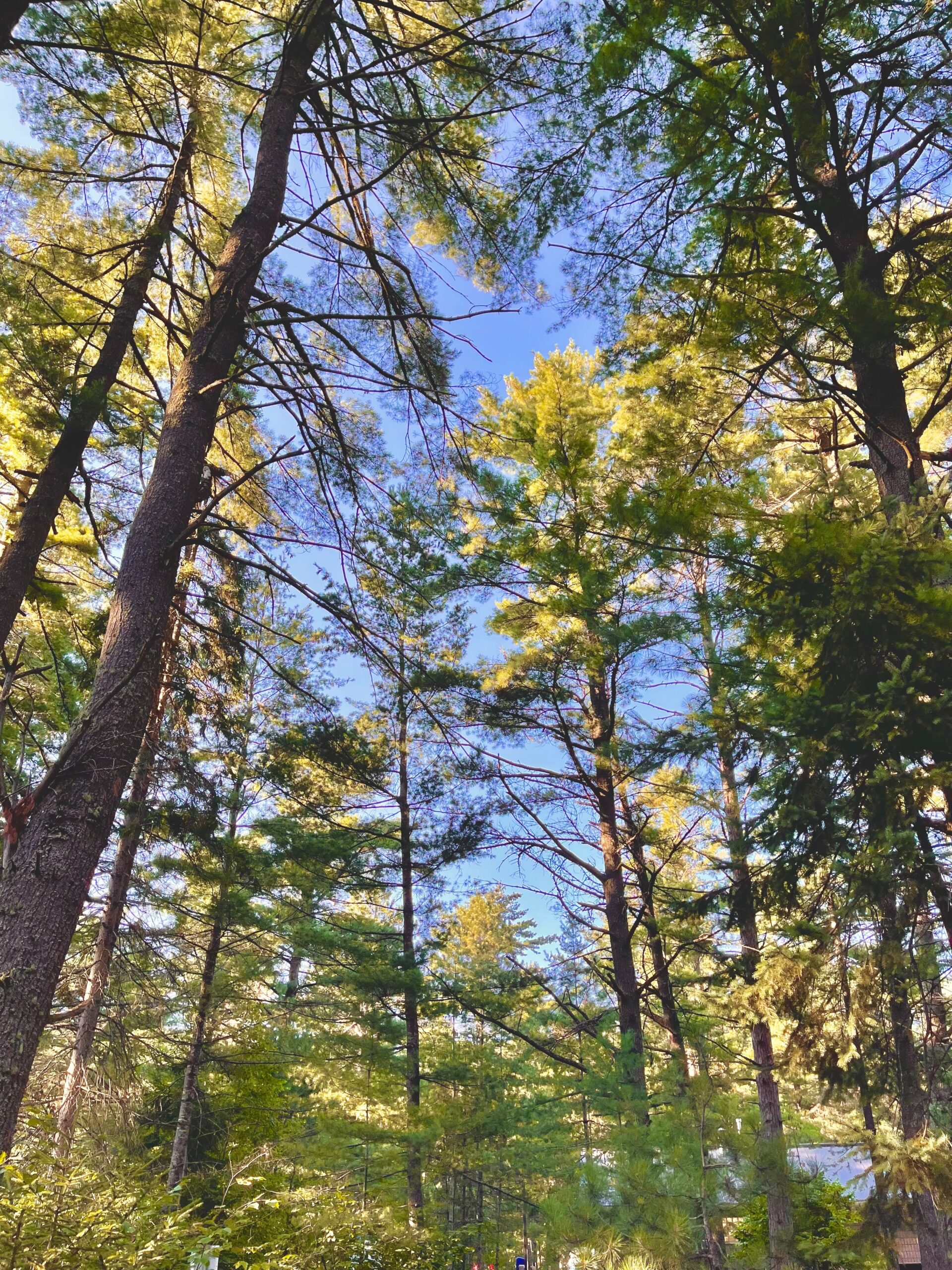 Exploring the Wonders of Ecotourism in Saskatoon