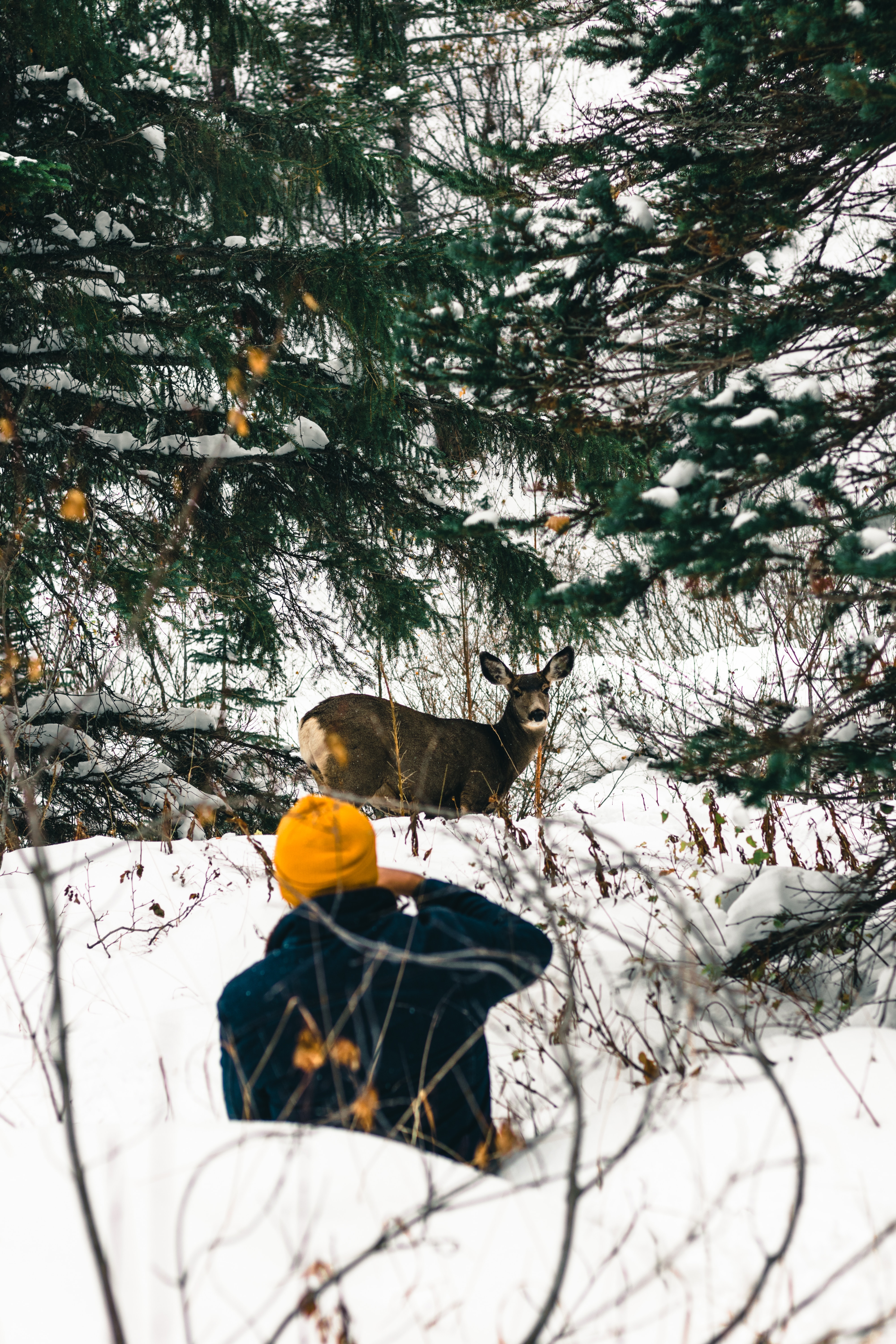 Hiking Adventures in Saskatoon, Canada