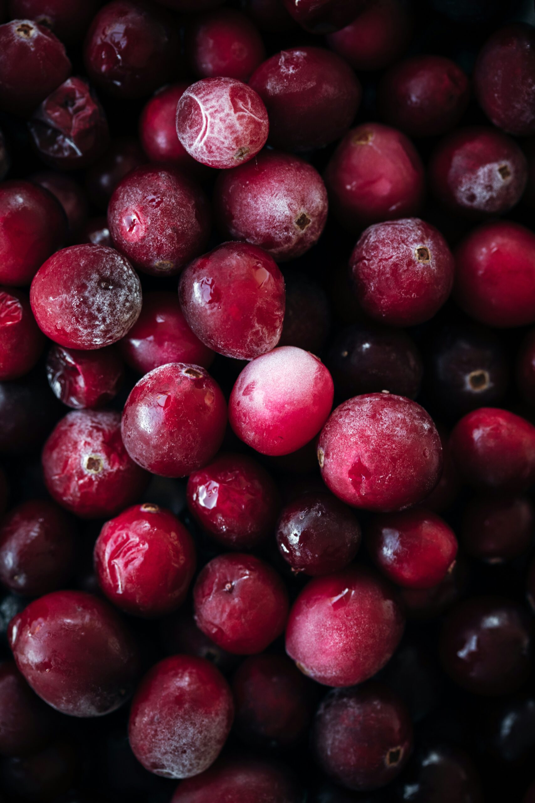 Exploring the Wholesome Taste of Saskatoon Berries